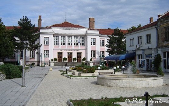 Училище във Видин